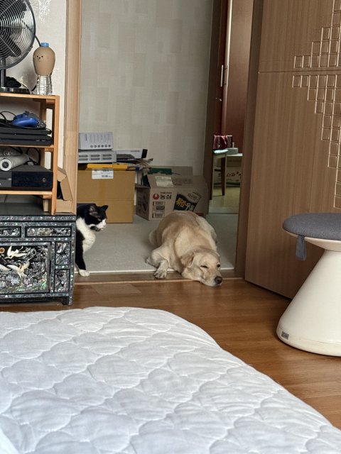 아메
